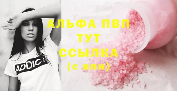 тгк Володарск