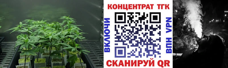 OMG ссылки  Благовещенск  ТГК жижа 